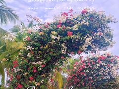 -三亚南山文化旅游区