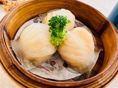 虾饺-荣誉海鲜酒楼(海湾店)