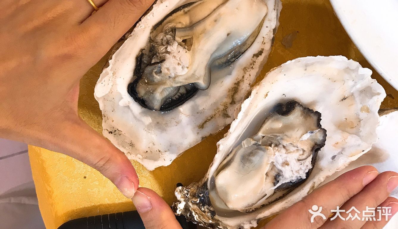 广州美食 | 天宝食坊·手掌咁大嘅生蚝 广州街坊都爱