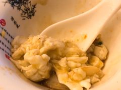 -丁老爷子苏香圆
