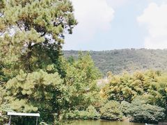-宝岩生态观光园