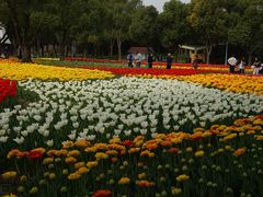 -大宁公园