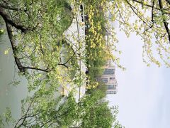 -大连植物园