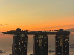 -新加坡瑞士史丹福酒店