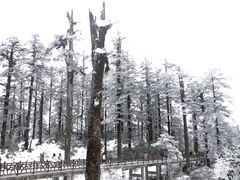-瓦屋山景区
