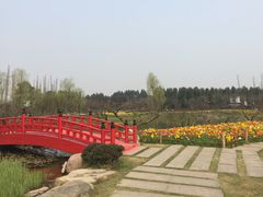 -秀丽东方