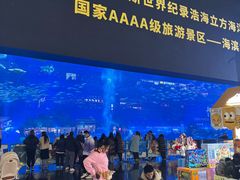 -成都浩海立方海洋公园