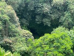 -海口火山口国家地质公园