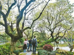 -西湖外事游船(花港观鱼码头)