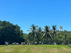 -三亚南山文化旅游区