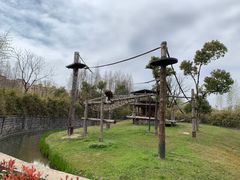 -上海野生动物园