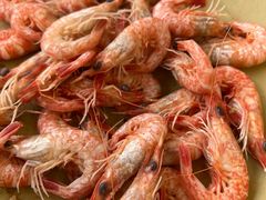 -南沙十九涌渔人码头-南门