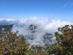 -尧山风景区