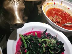 -炊烟小炒黄牛肉(中心印象城店)