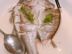 白鲈鱼-云山九里度假酒店蝶庐阁中餐厅
