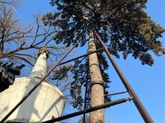 -潭柘寺景区