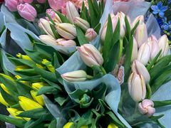 -双季花艺园艺市场(浦东店)