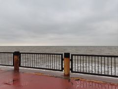 -东堤公园