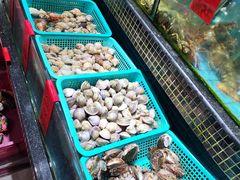 -海大大蒸汽海鲜餐厅·粤菜·特色小炒(欢乐颂店)