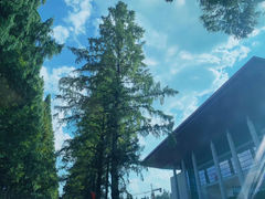 -井冈山风景名胜区
