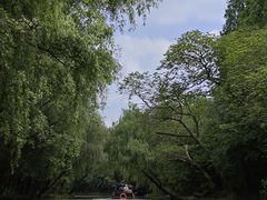 -同里国家湿地公园