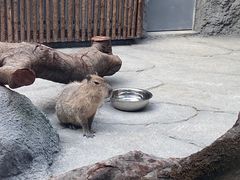 -武汉动物园