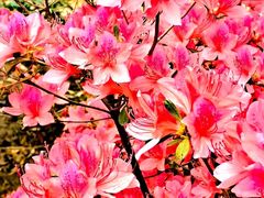-曲阜师范大学(曲阜校区)