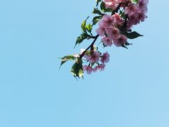 -上海辰山植物园