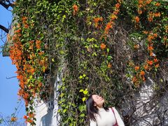 -广西壮族自治区药用植物园
