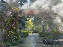 -东莞植物园