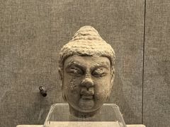 -平原博物院