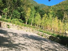 -东海大峡谷