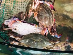 -浩运海鲜·16年专注青岛菜(石老人店)