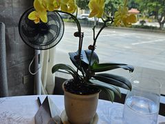 -观海海鲜(松山湖卓为城店)