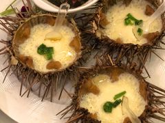 野生海胆蒸蛋-开海·红岛海鲜虾水饺(石老人店)
