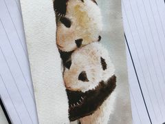 -熊猫邮局(少城店)