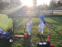 -前小桔亲子创意农场·草莓采摘·露营烧烤