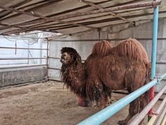 -南宫五洲植物乐园