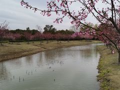 -石湖景区