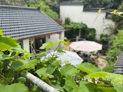 -美味之家·湖景农家乐(太湖东山店)