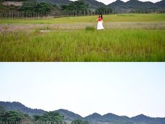 -南山植物园