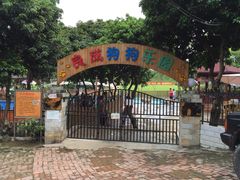 -良成狗狗乐园