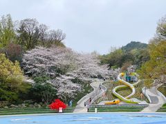 -杭州少年儿童公园