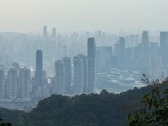 -大金鹰园