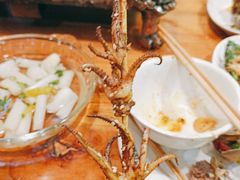 -祝哥最火碳缸烧鸽撸串