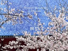 -龙美术馆(西岸馆)