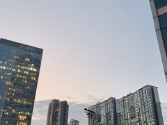 -苏州希尔顿酒店·园大堂吧