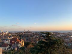 -九龙餐厅(大沽路店)