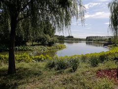 -东郊湿地公园