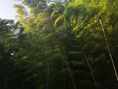 -天目湖山水园